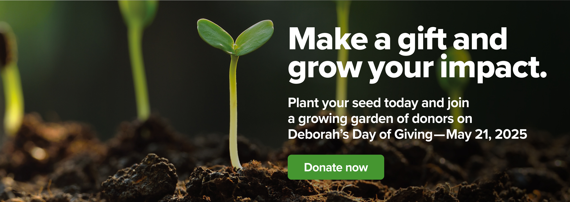 Make a gift and grow your impact. Plant your seed today and join a growing garden of donors on Deborah's Day of Giving-May 21, 2025 | Donate now